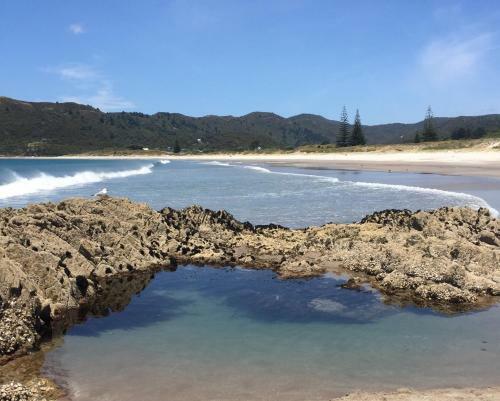 Aotea Eco Bungalows