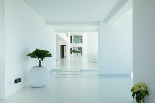 Apartamento Casa Elevar At Orchid