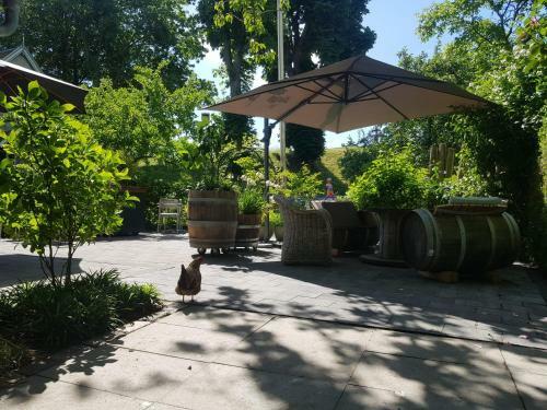 Bed & Breakfast Theetuin Onder De Pannen