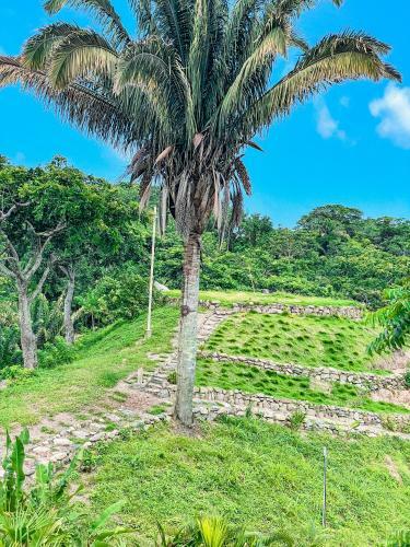 Casa de Campo Entera, Tayrona Nukze