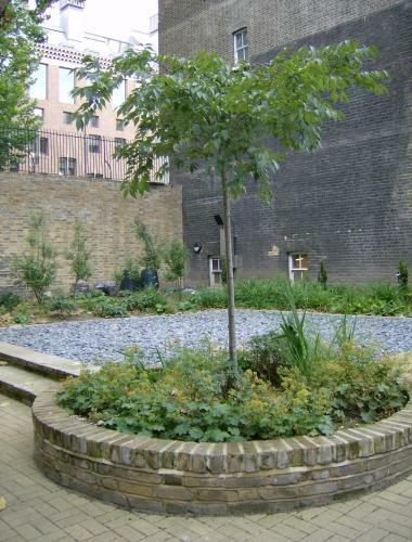 Hostal Lse Passfield Hall