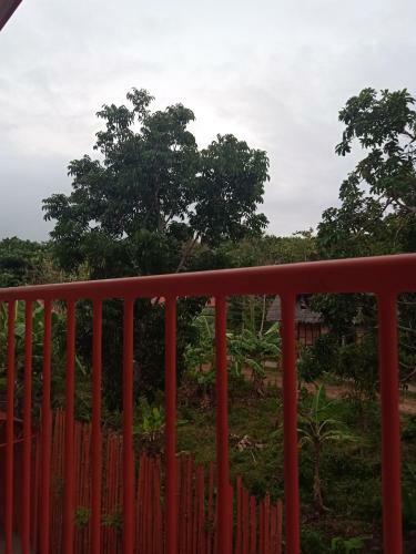 Hostal Stella'z Guesthouse