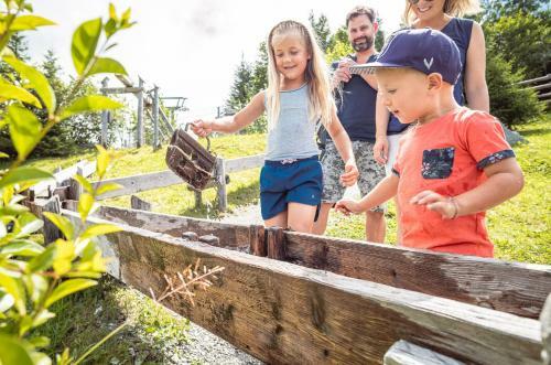Apart Herzog - Design Apartments Leogang