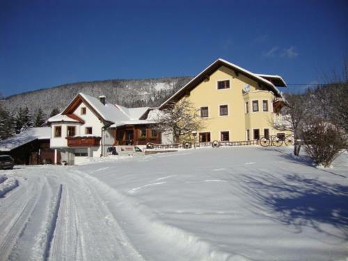 Apartamento Ferienwohnung Schl�gelhofer