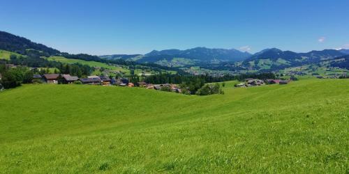 Ferienhaus H�mmerle�s