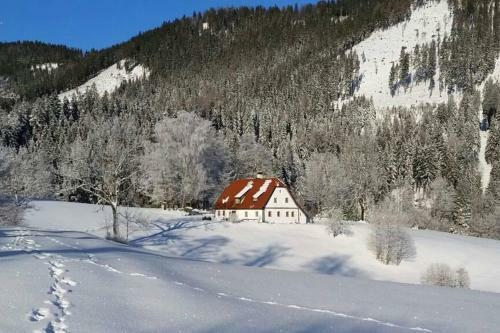 Chalet Hinterbreiteneben