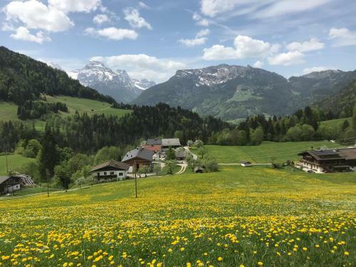 Apartamento Haus Bergsicht Lofer