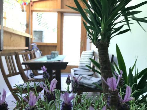 Ferienhaus Gro�alber