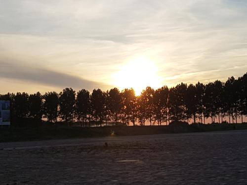 Strandhut 64