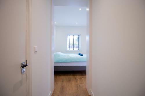 Escamp Apartments