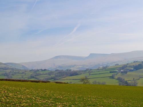 Red Kite View
