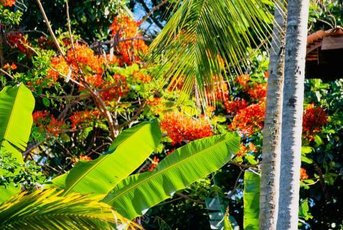 Casa Com Excelente Estrutura - 300m Da Praia