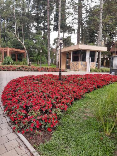 Apartamento Morada Herz 316