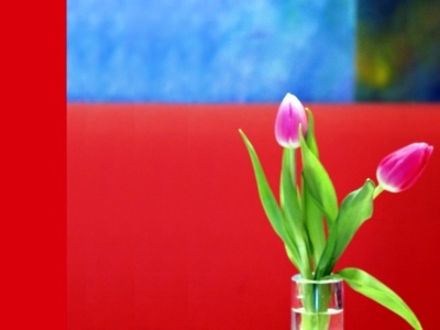 Creatif Hotel Elephant