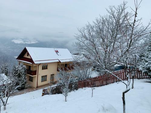 Lodge Cabana Muntele Paltinei