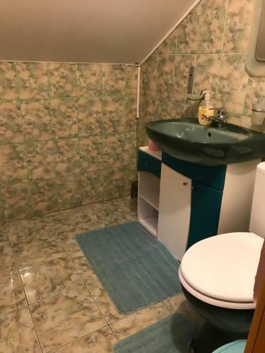 Lodge Pensiunea Valea Tonii