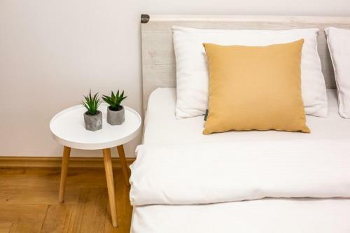 Three Bedroom Apartment On Rynok Square