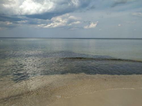 Apartament Cappello