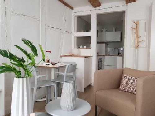 Apartamentos Studio Maison Verte Colmar Centre