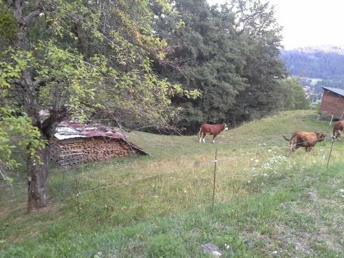 Apartamento Cordon Balcon Du Mont Blanc