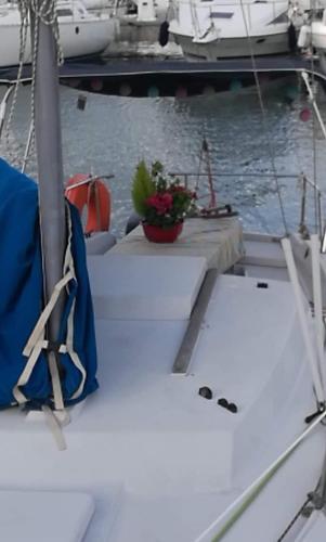Joli Voilier de 6m Pour Exp�rience Insolite