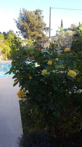 Bed & Breakfast Chambre D'h�tes L'ipom�e