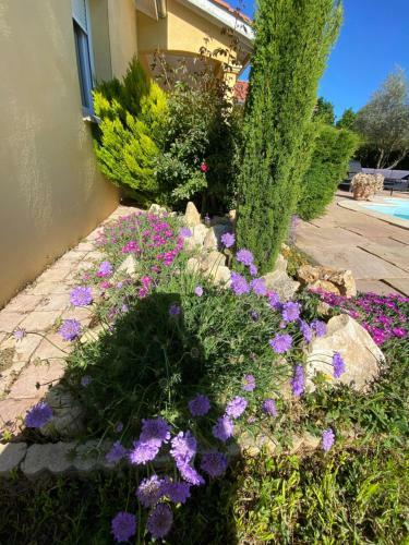 Bed & Breakfast Chambres Dans Villa Avec Piscine