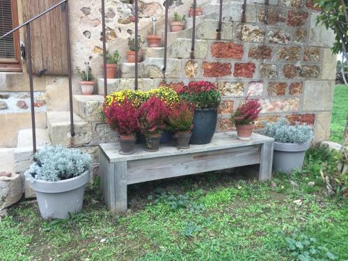 Bed & Breakfast Domaine Les Grands P�rons