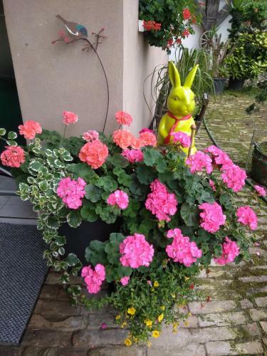 Bed & Breakfast La Chambre Aux Hirondelles