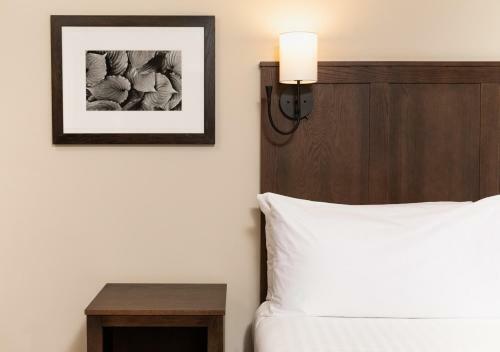 Hotel Kanuga Inn & Lodging
