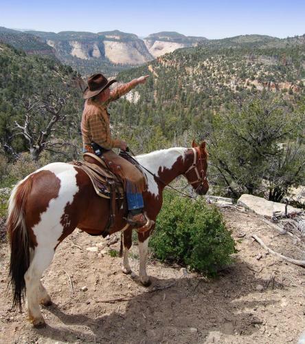 Hotel Zion Ponderosa Vacation Rentals
