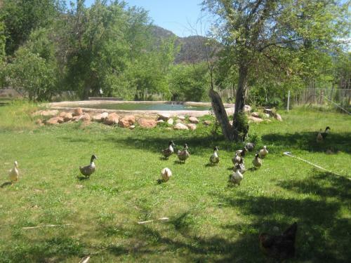 Hotel Bumbleberry Inn