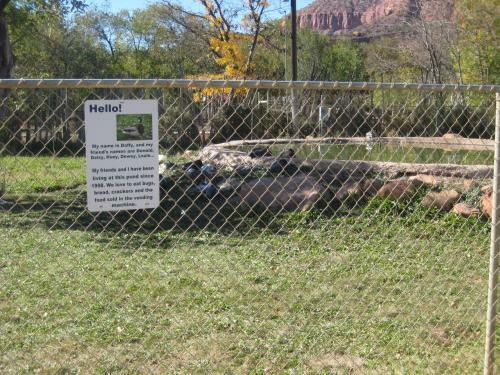 Hotel Bumbleberry Inn