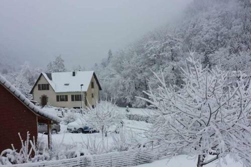 Chalet Loulou, Massif Central, Le Mont-dore