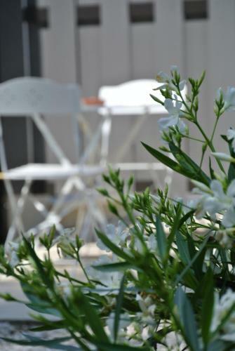Bed & Breakfast Villa Carpe Diem