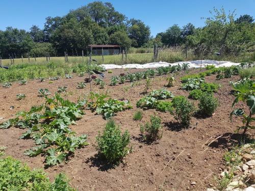 Bed & Breakfast Mas de La Pini�re