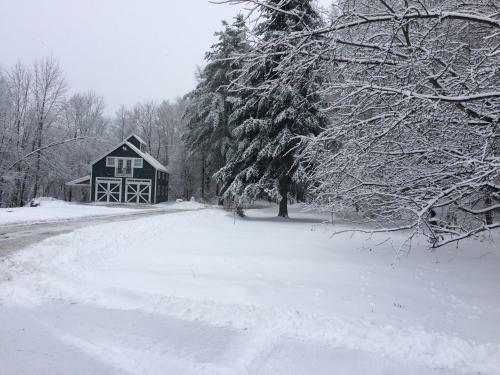 Bed & Breakfast The Birch Grove