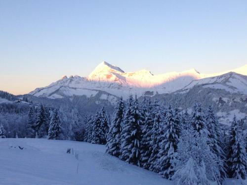 Aparthotel La Ferme Des Georgi�res