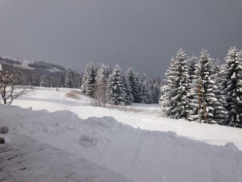 Aparthotel La Ferme Des Georgi�res