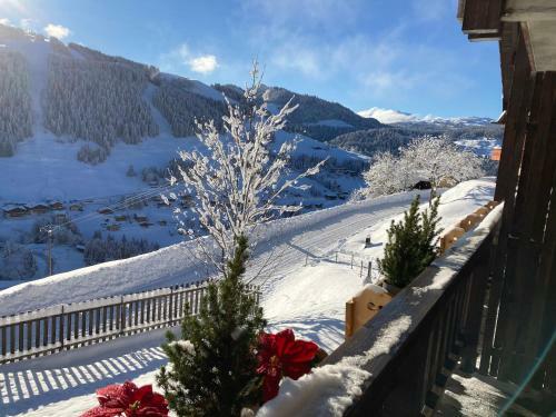 Apartamento Demi Chalet Le Lachat