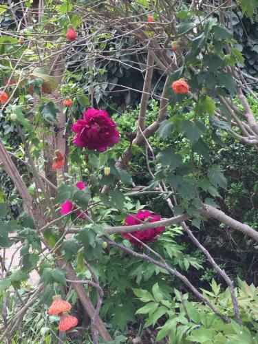 Bed & Breakfast Chambre D'h�tes Eloi Merle