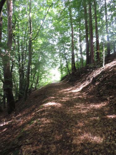 Gite de Montager Saint Andr� de Chalencon