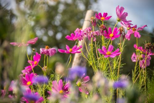 Chambre D'h�tes Enmarcade