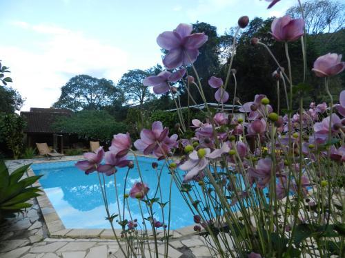 Hostal Pousada Recanto Do Pinheir�o