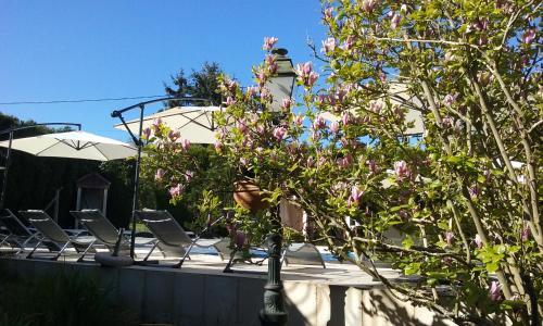 Hotel Du Commerce Chez Karen Et St�phane