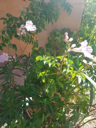 Hostal Villa Esmeralda