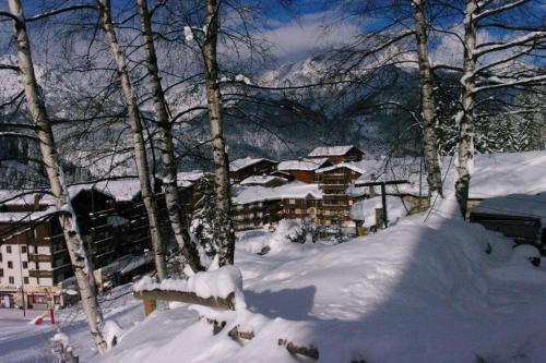 Apartamento Chalets D'arrondaz