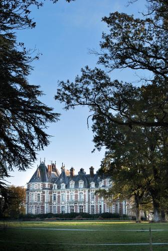 Bed & Breakfast Ch�teau de La Jumelli�re