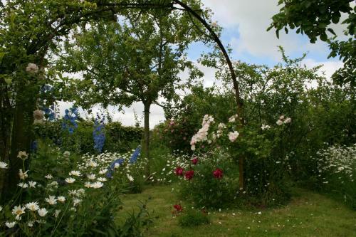 B&B Eenvoud In Overvloed