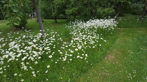 B&B Eenvoud In Overvloed